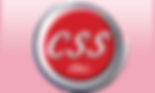 CSS Inc