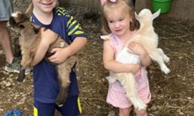 Tips for Surviving Summertime