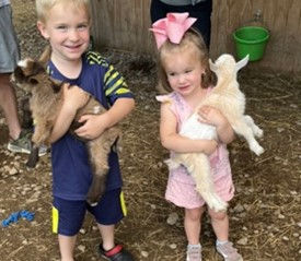 Tips for Surviving Summertime