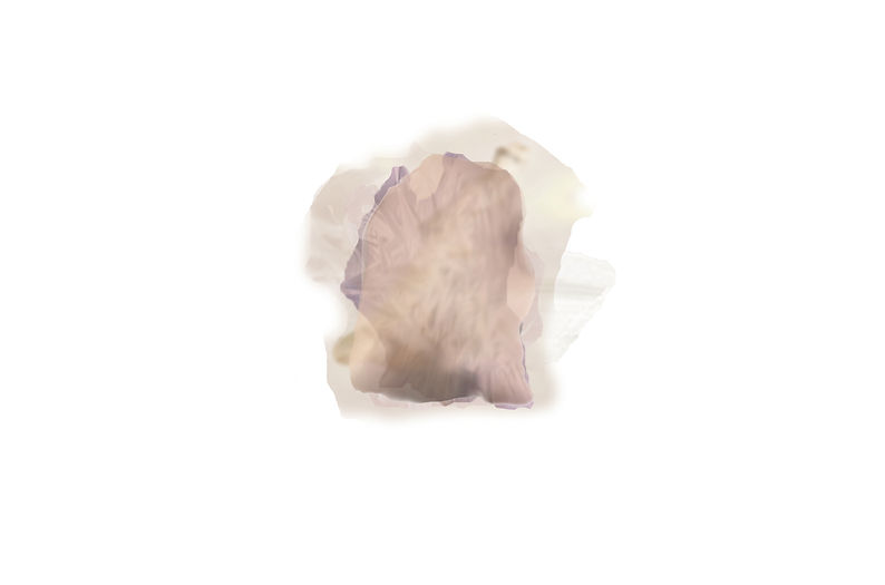 curtain.jpg