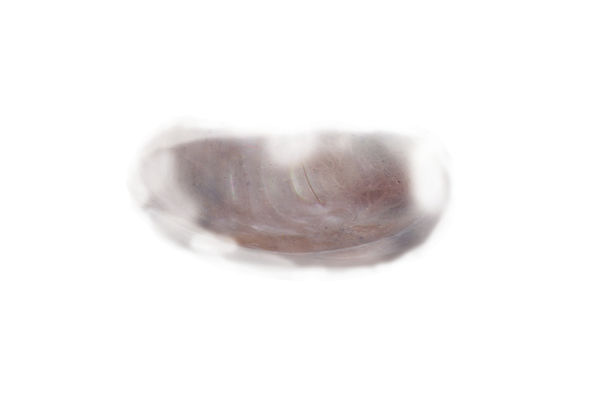r5.jpg