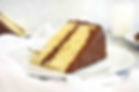 Chocolate Iced Yellow/White Cake