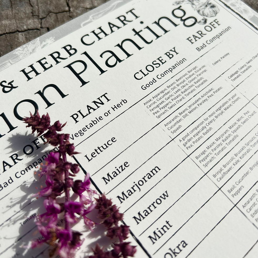 Thumbnail: Companion Planting Chart