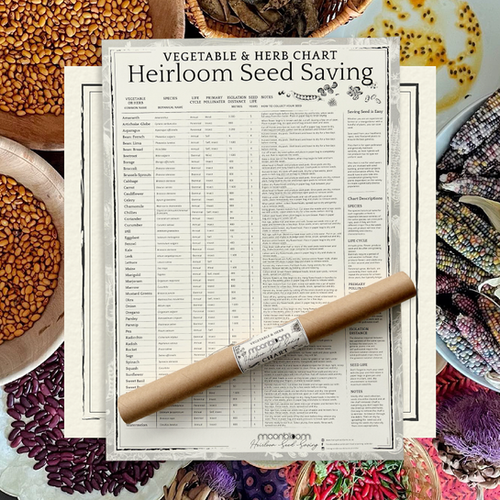 Heirloom Seed Saving Chart Honeymoon Farm