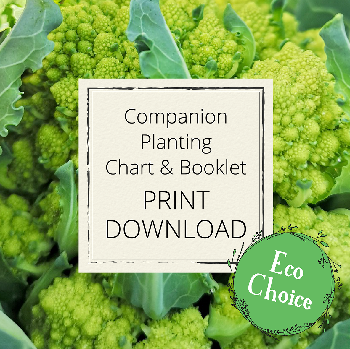 Companion Planting chart & booklet