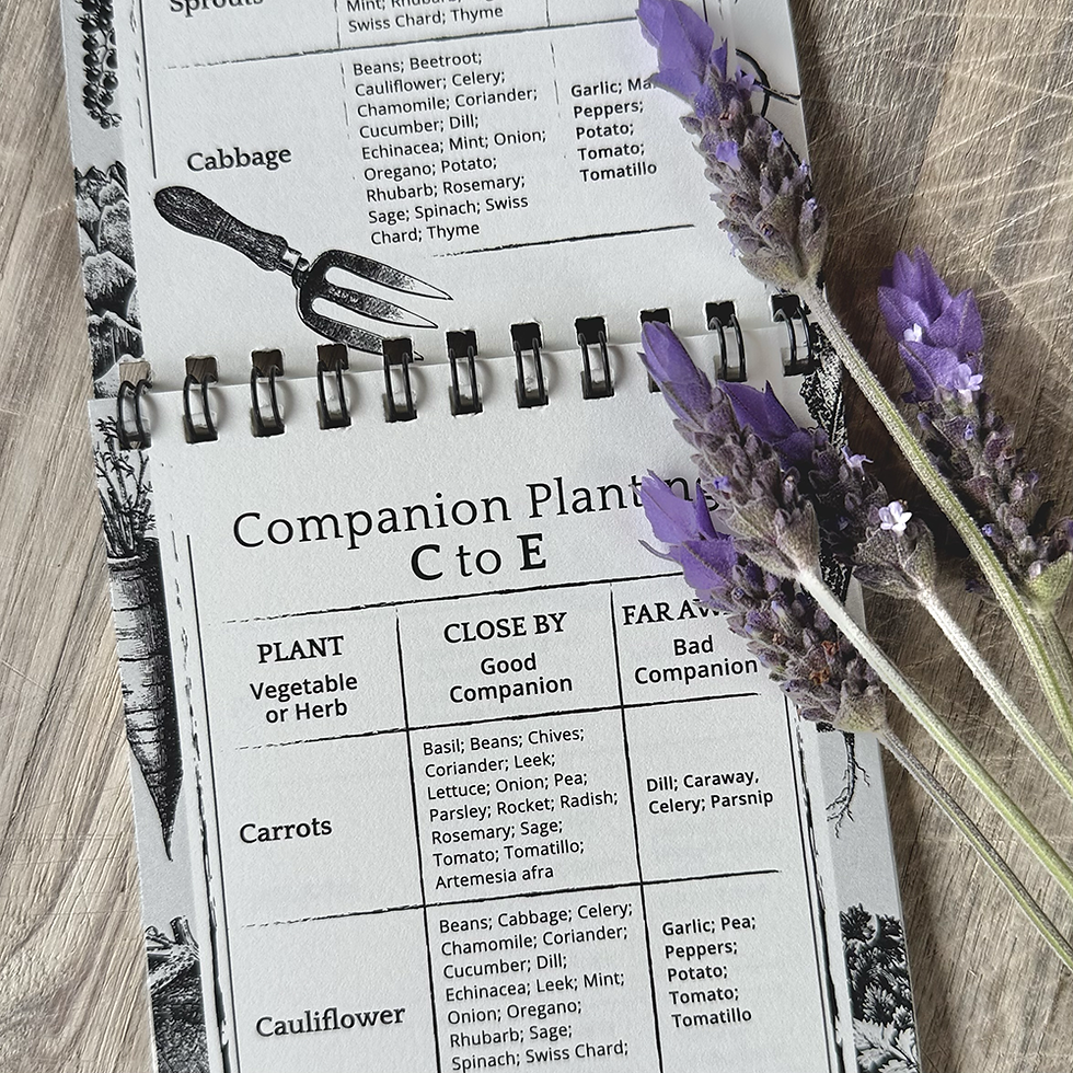 Thumbnail: Moonbloom Lunar Cycle Planting Calendar 2026