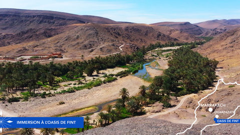 Une journée à l'oasis de Fint : 
plongez avec moi hors du temps !