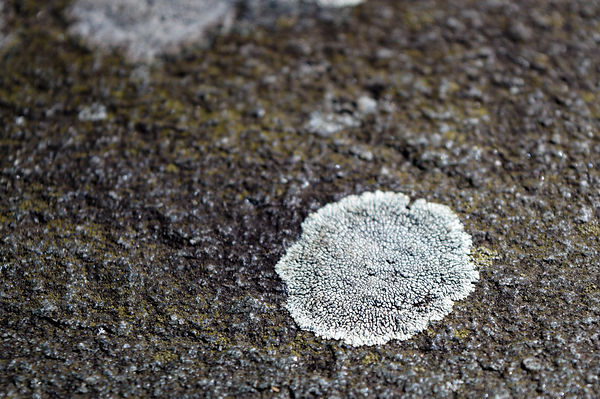 Notice (3 of 174).JPG