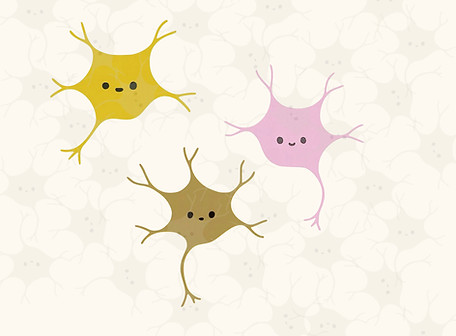 This cartoon graphic illustrates 3 cartoon neurons that are stained in different colors representing initial activation, experience-induced activation and activation at both time points.