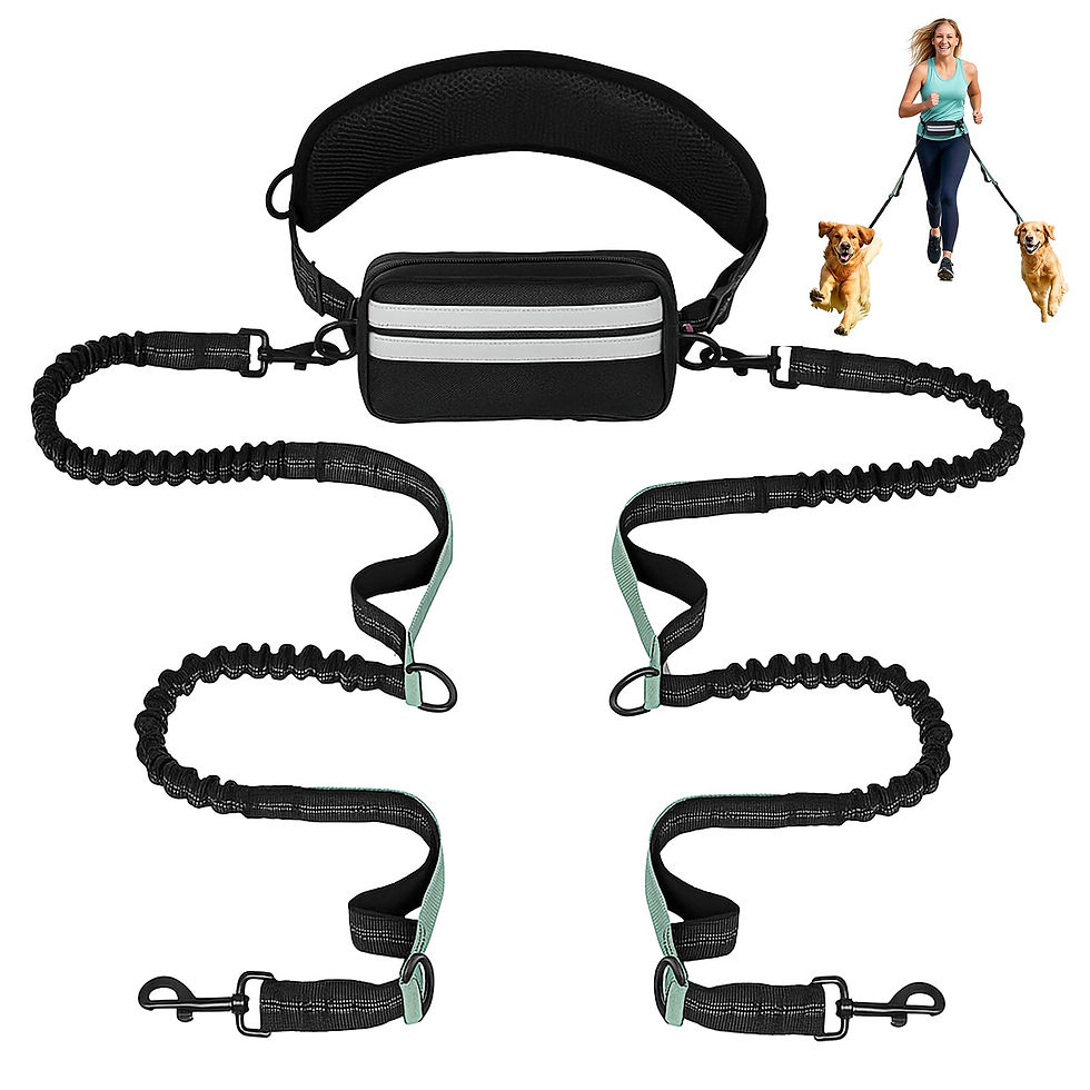 Thumbnail: Hand Free Leash with Pouch, Belt Retractable Dog Walking Leash for with