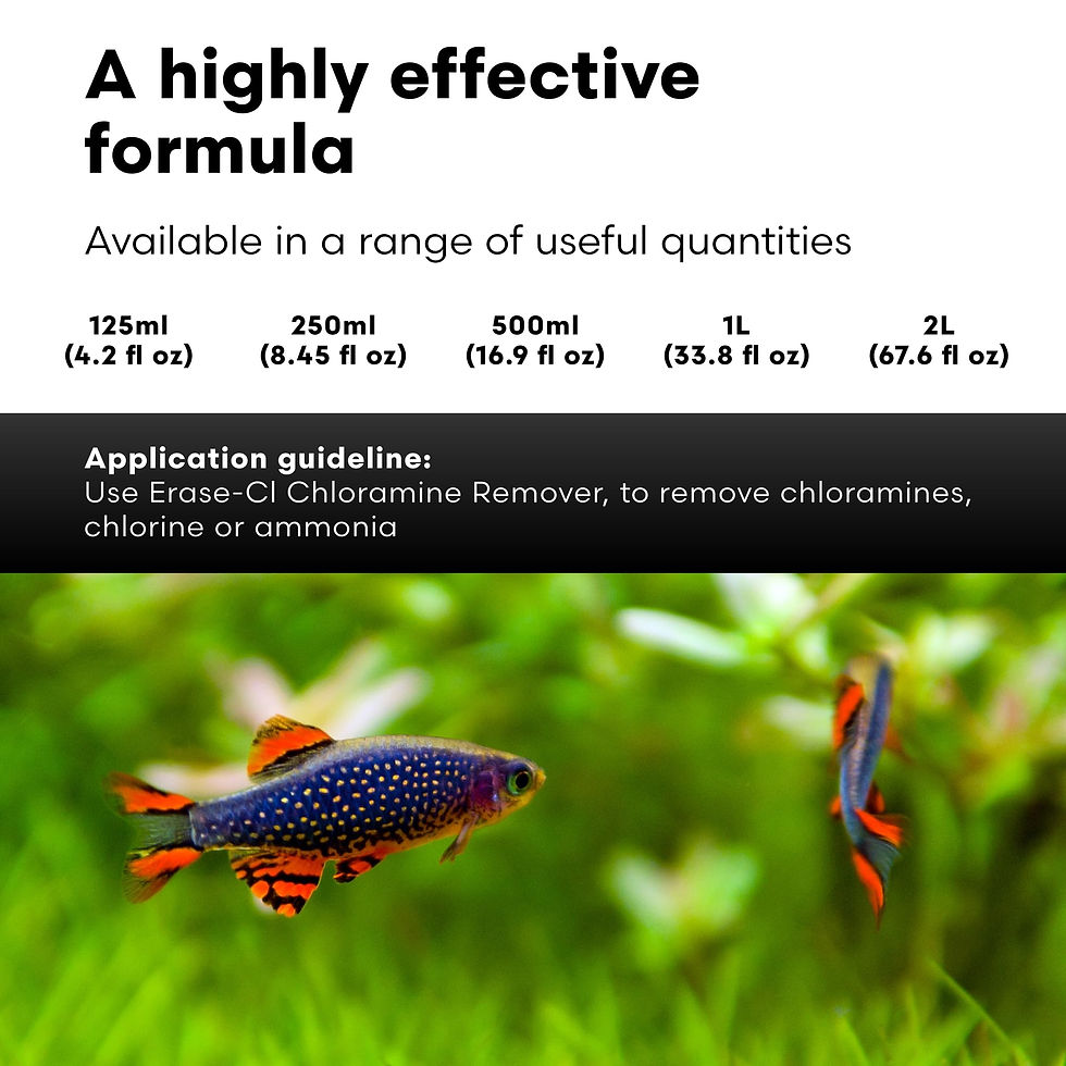 Thumbnail: Brightwell Aquatics Erase-Cl - and Water Conditioner for Salt Freshwater Fish