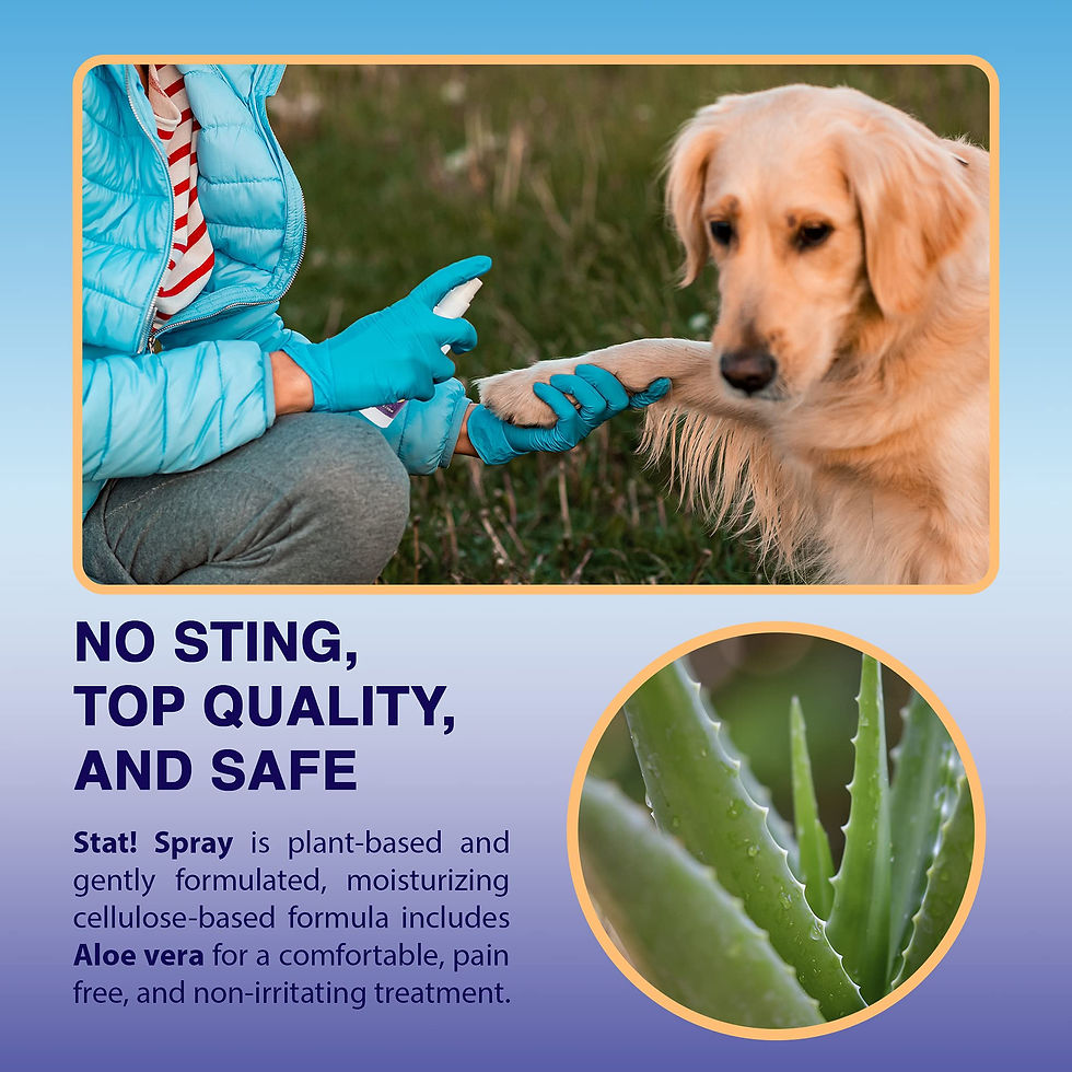 Thumbnail: Pet Wound & Care | First-Aid for Skin Treatment Dogs, Ingredients Cats,