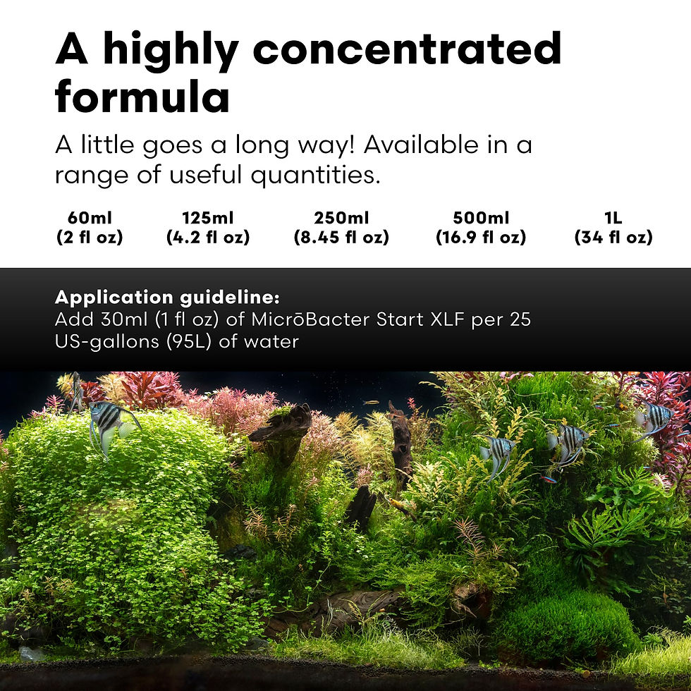 Thumbnail: Brightwell Aquatics Start XLF - Concentrated Freshwater Bacteria Quick Fish Tank