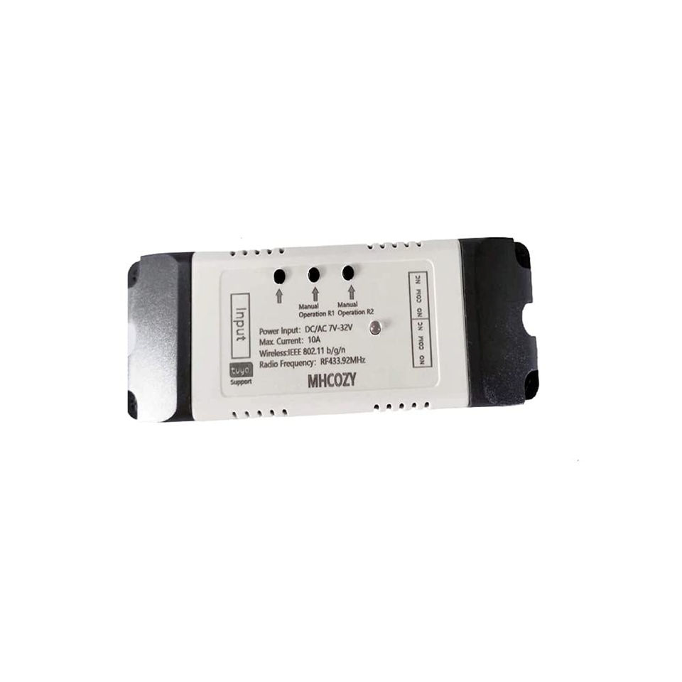 2CH WiFi RF Wireless Switch with Alexa Life app Relay) Relay,Inching