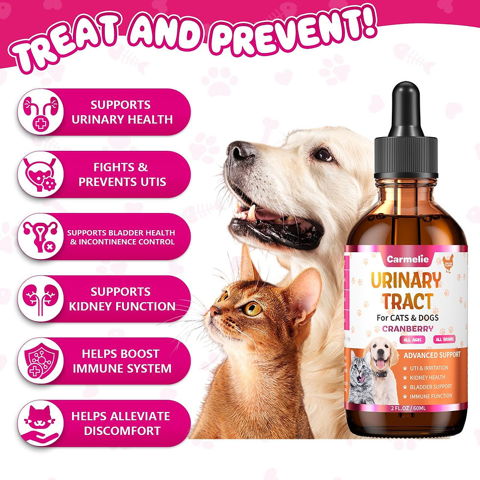 Thumbnail: Cat & Tract Support Drops with Cranberry Dog Urinary Supplement � Kidney