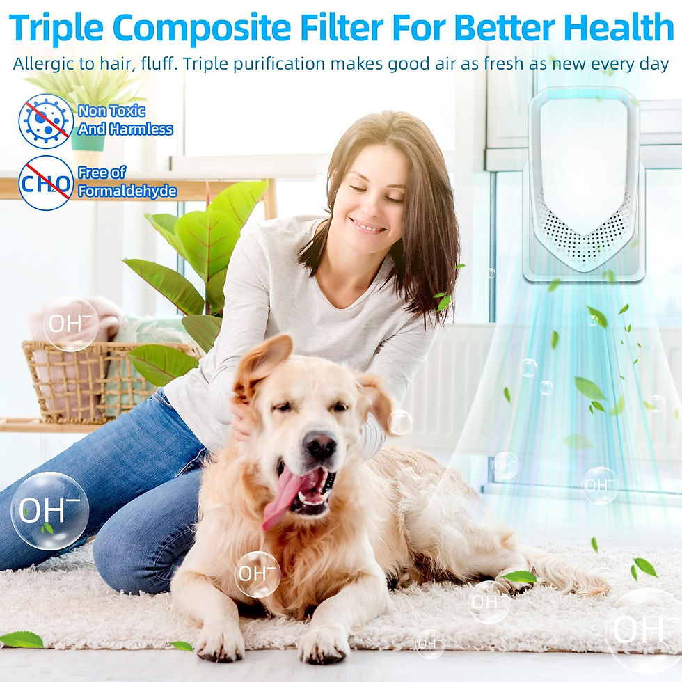 Thumbnail: 2026 Air Ionizers for Ion Purifier Upgraded Home, 6 Whisper-Quiet Dust