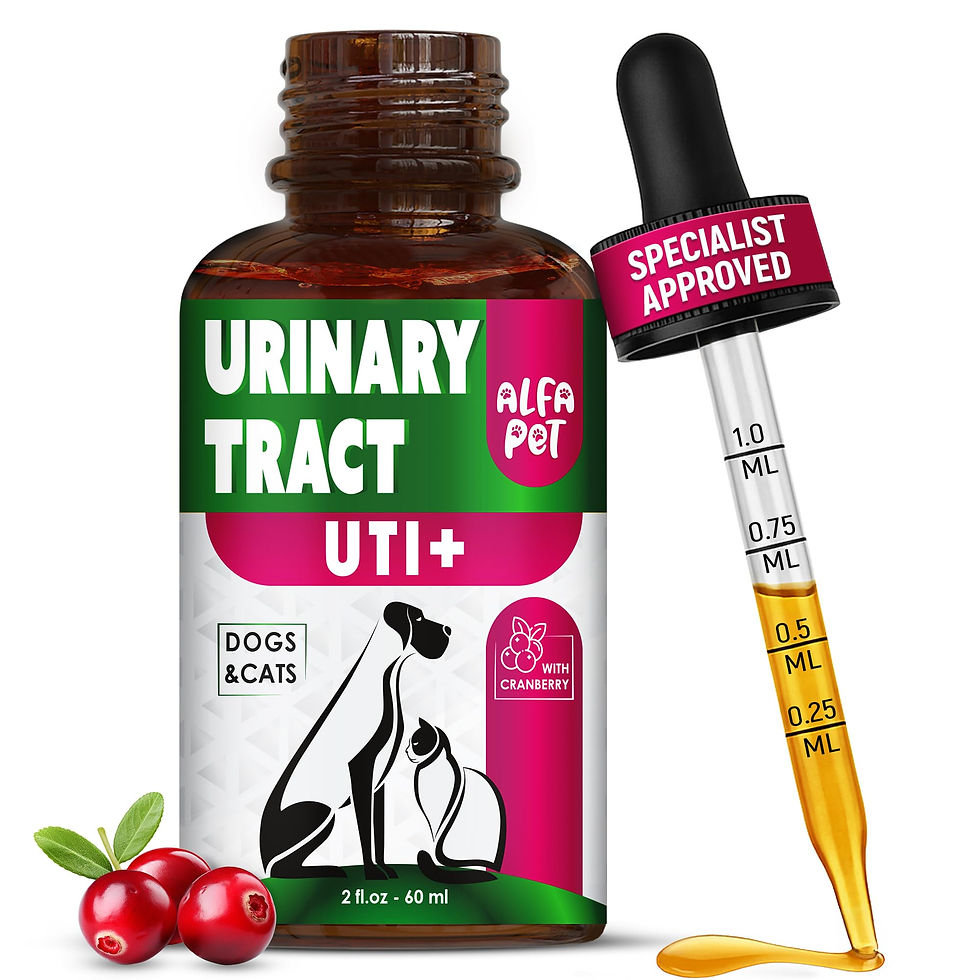 Thumbnail: ?at Tract with Cranberry � UTI to Urinary Infection Treatment Care for