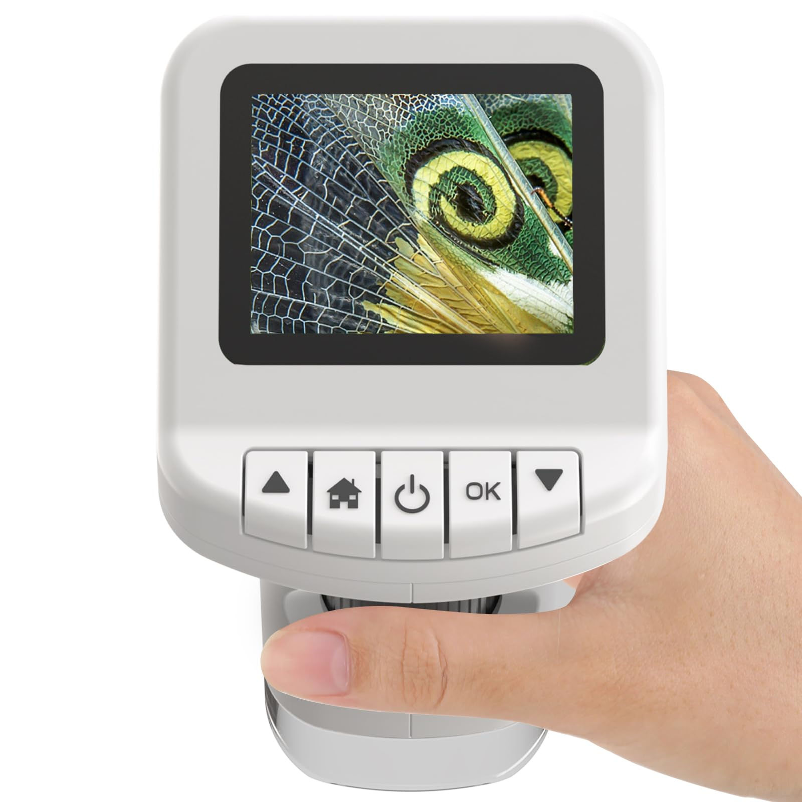 1200X Handheld Portable for Kids Scope Screen Microscope Digital 2.0" (White)