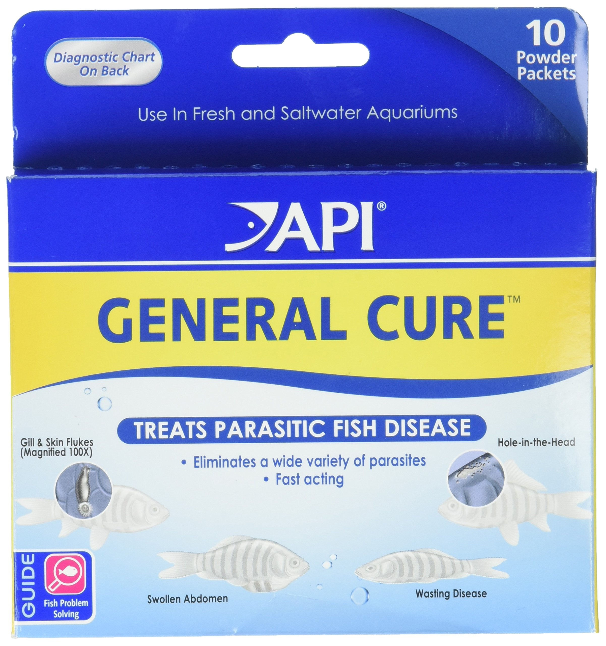 API General Cure Freshwater and Saltwater Fish Powder Medication 10-Count Box 1