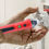 Thumbnail: Non-Contact Voltage Tester, Dual Range AC 12V-1000V, Live/Null, Pocket Clip Red