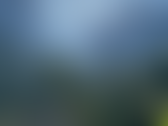 West Coast Road Trip 2024