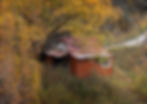 0D0A7972E skippers Road.jpg