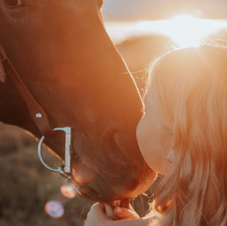 Young girl kissing horse - Allison Zinnick Photography