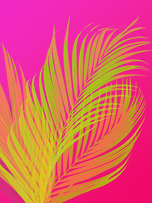 Palms Pink for web.jpg