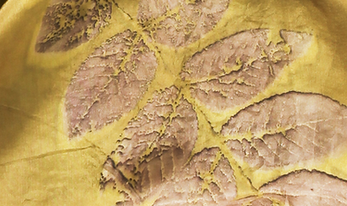 11 X 60 Gold_ Black Walnut 01 copy_Large for details.png