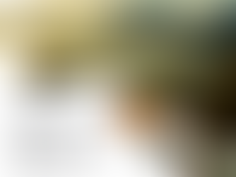 Chaminade and Friends: LAKE ATITLAN ROTARYCLUB VISIT US TRIP TO GUATEMALA 2027