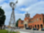 Grapevine City