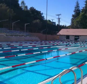 Olympic-size swimming pool with lanes
