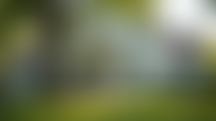 Understanding Exterior Renovation Costs: What You Need to Know