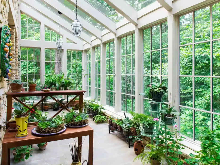 Sunlit greenhouse filled with lush plants