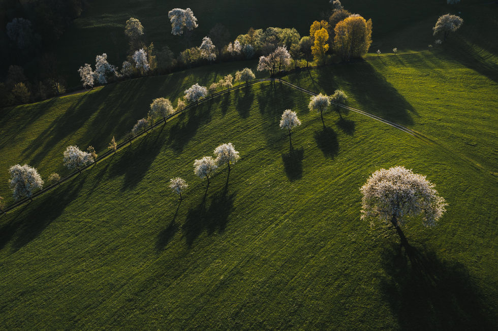 DJI_0965