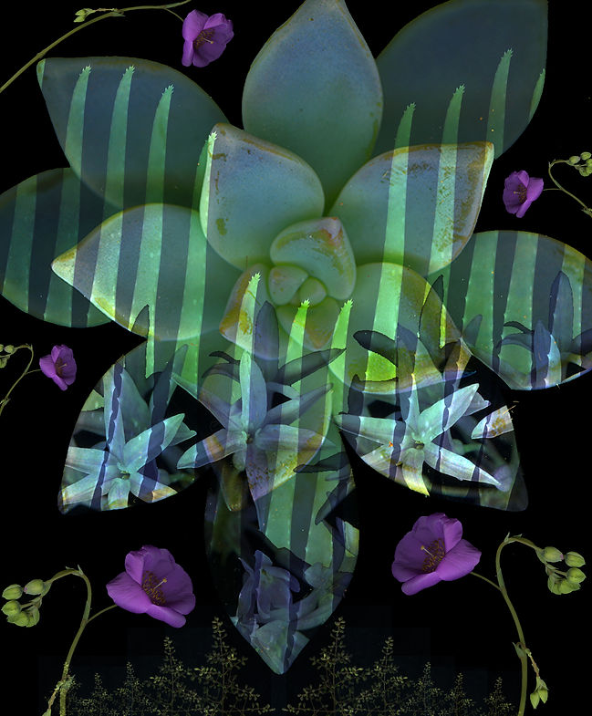 Scanner.Composition.jpg