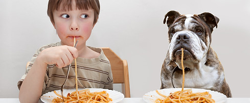 Junge und Hund Essen Pasta