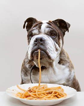 Garçon et chien manger des pâtes