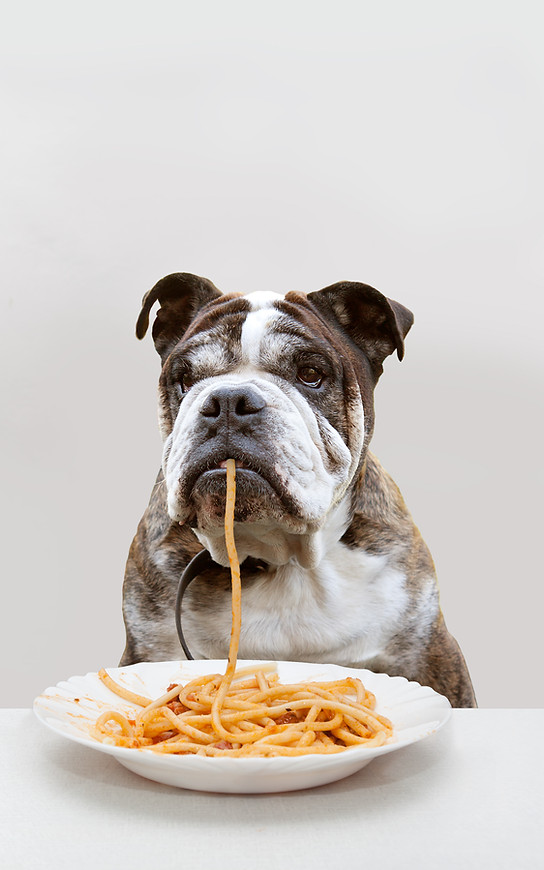 Criança e cachorro