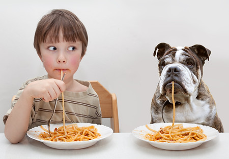 少年と犬食べるパスタ