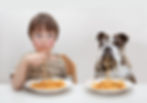 little boy and dog eating spagetti