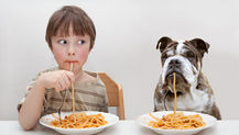 Nutrition Fact or Fiction: Gluten and Grains