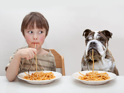 Food that dogs and cats cannot eat