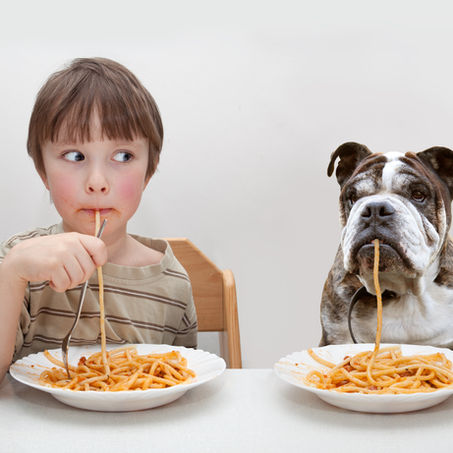 A child and a dog eating spaghetti.