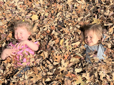 Leaf Play 2.JPEG