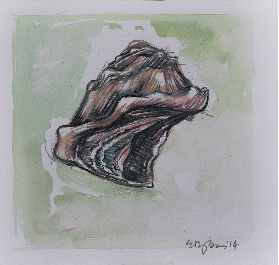 Sims_Elsie_pencil_watercolor_turban_shell.jpg
