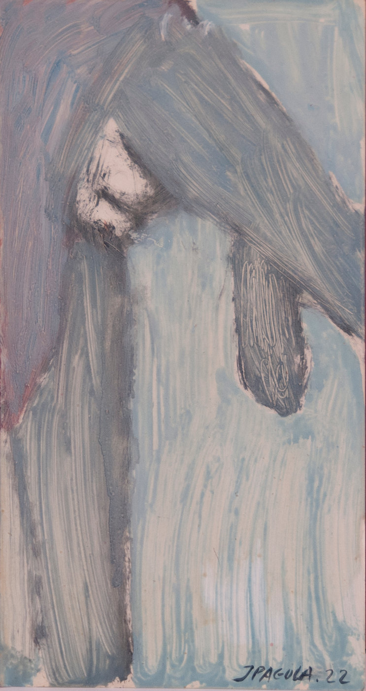 Javier Pagola, obra 1