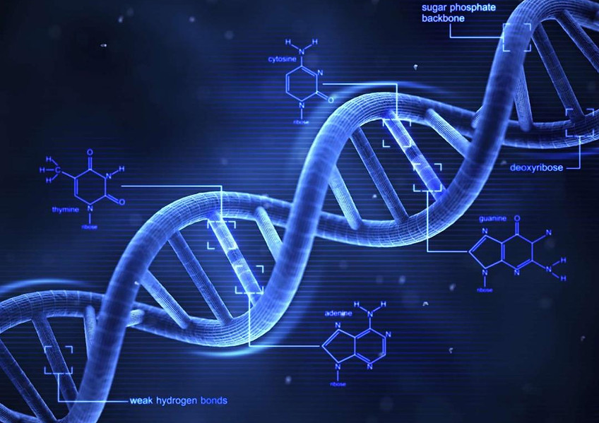 DNA 1.jpg