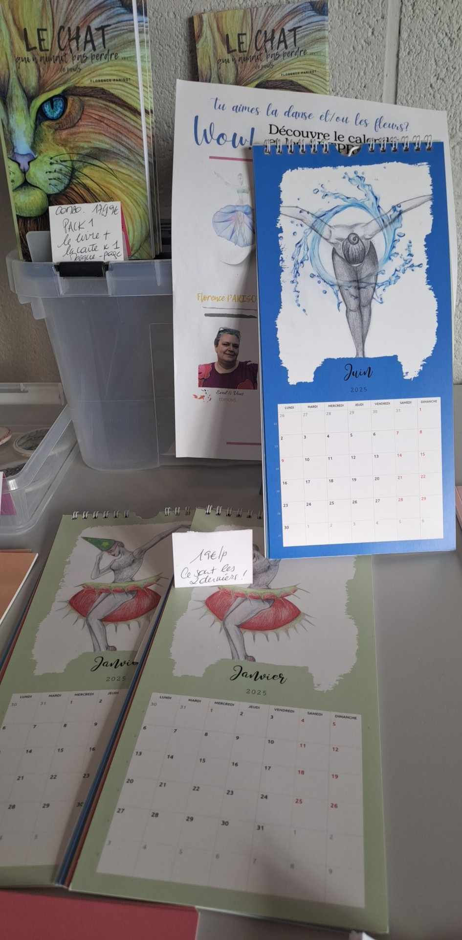 calendrier - DANSE DANSE DANSE! - signé Florence Parisot