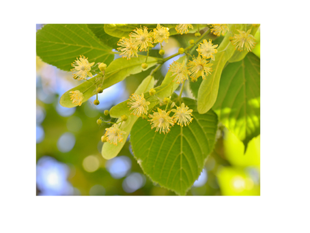 Pochette Amulette – Confiance en soi